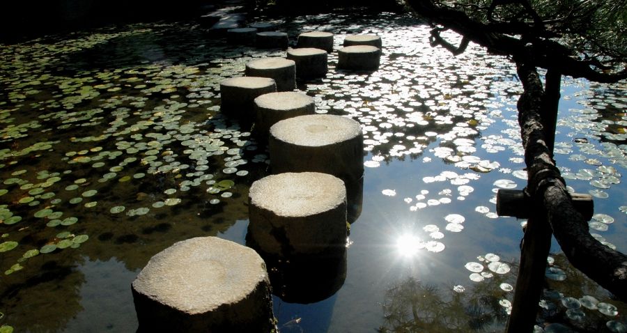 平安神宮桜開花状況枝垂れ桜見ごろ
