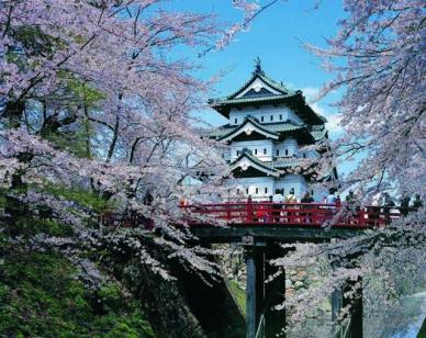 弘前桜開花予想さくらまつり