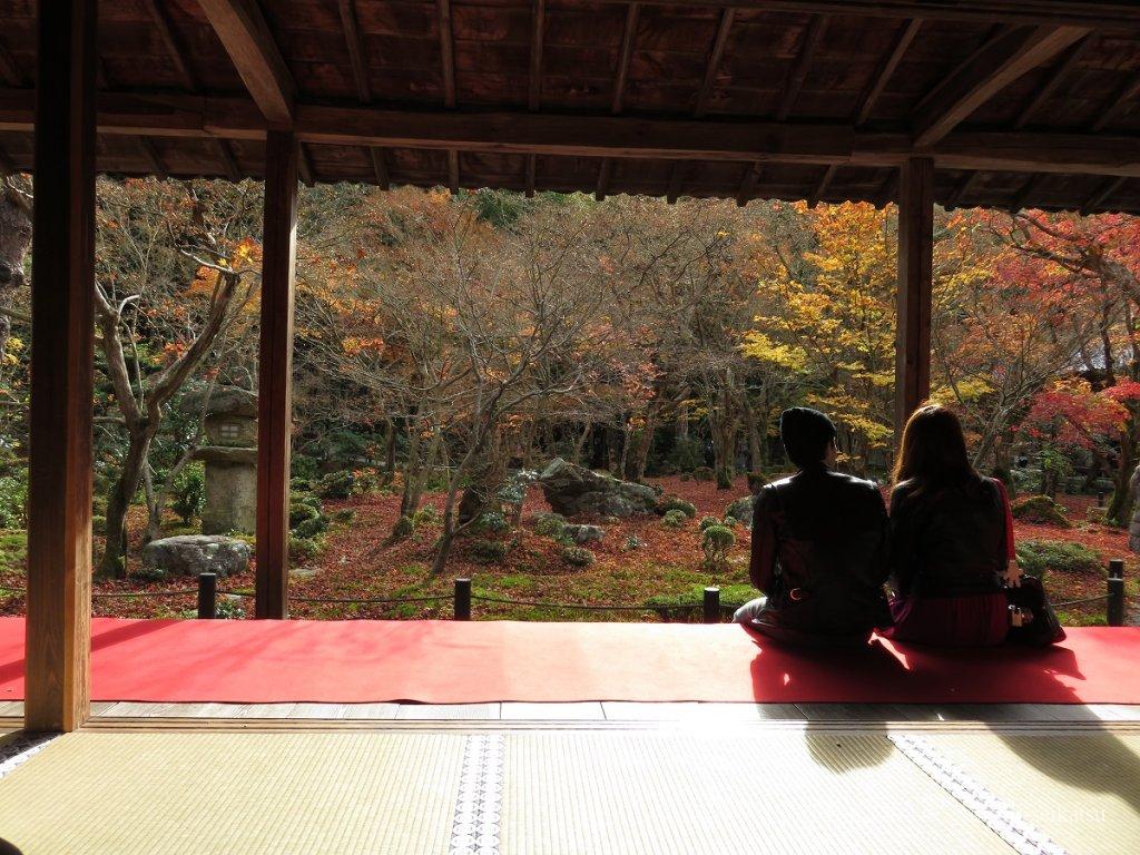京都紅葉見頃時期