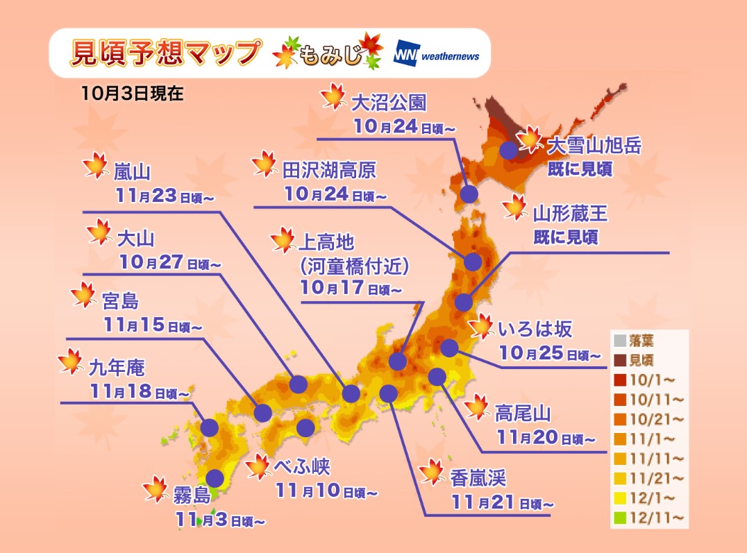 京都紅葉2019見頃時期