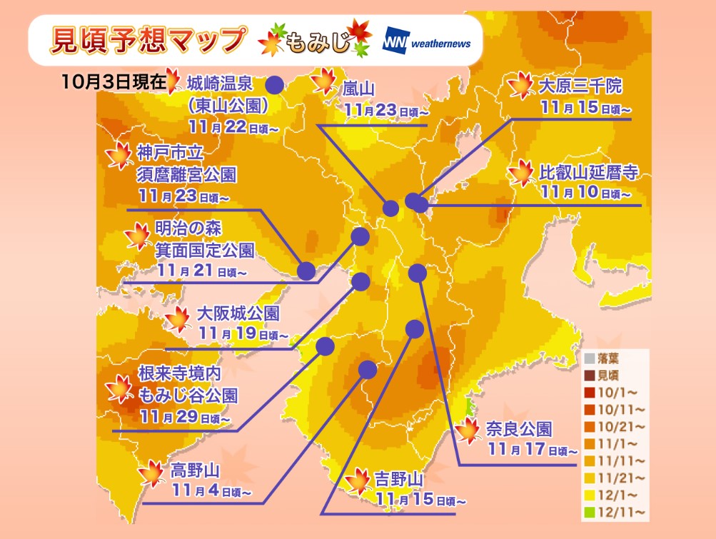 京都紅葉2019見頃時期