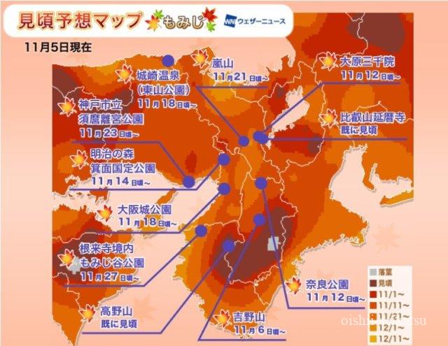 2020京都紅葉見頃