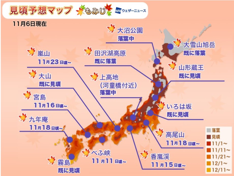 京都紅葉2019見頃時期