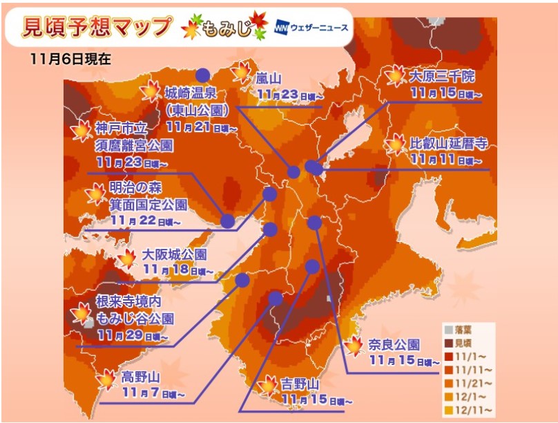 京都紅葉2019見頃時期