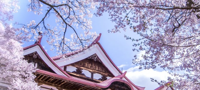 桜開花予想高遠城址公園
