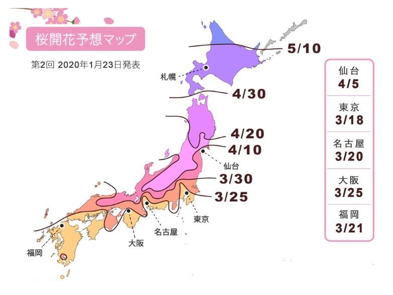 目黒川桜開花予想