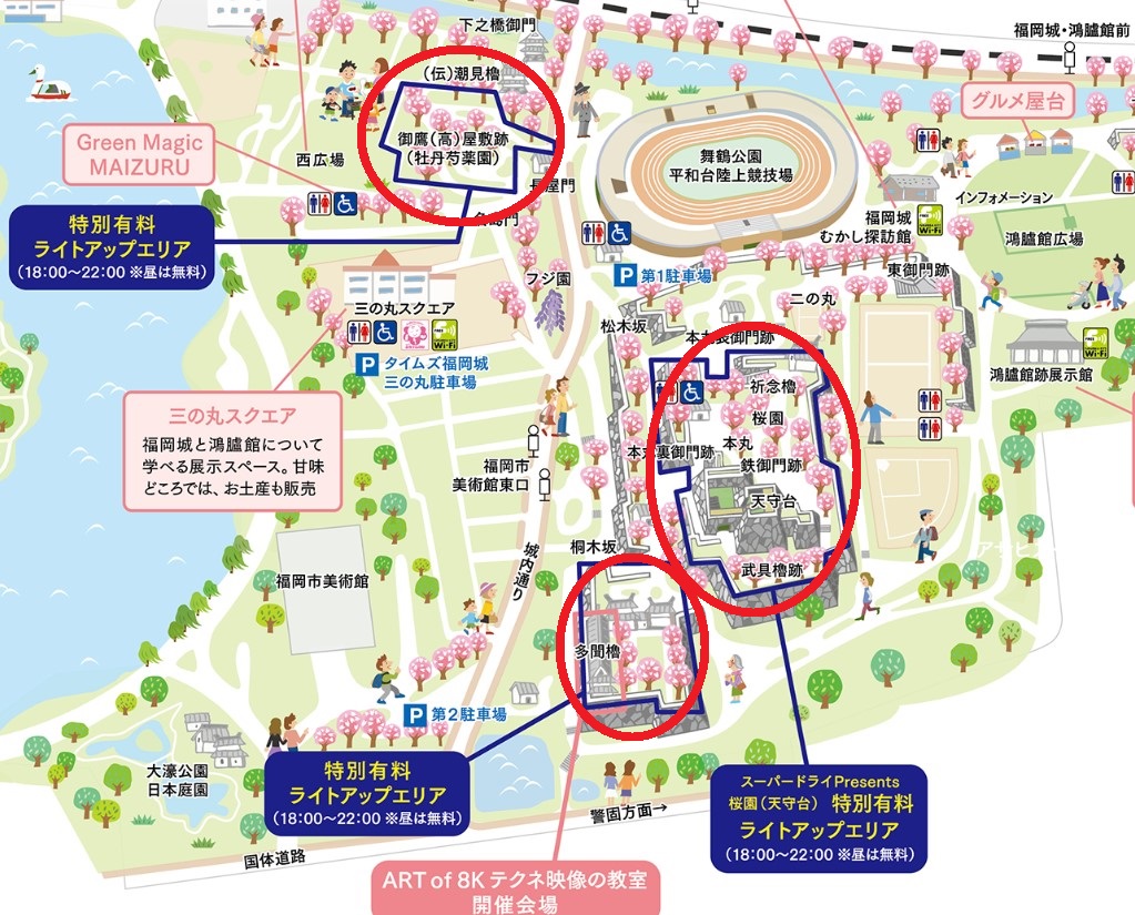 舞鶴公園桜開花予想