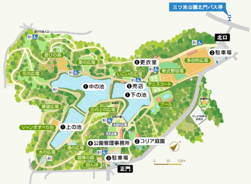 三ツ池公園桜開花状況