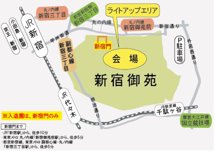 新宿御苑桜開花状況ライトアップ