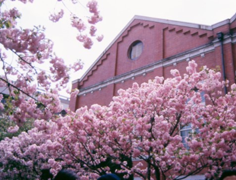 造幣局桜の通り抜けアクセス