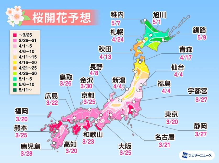 幸手権現堂桜開花予想