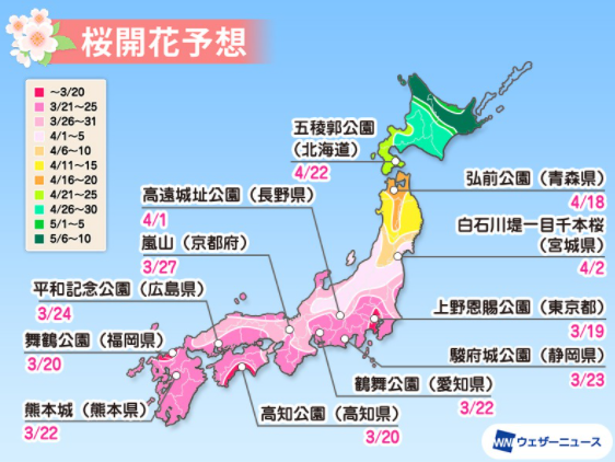 最新 東京桜の名所ランキング21 人気の花見スポットは 美味しい生活