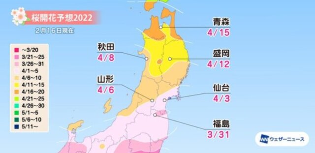 2022桜 開花予想 三春