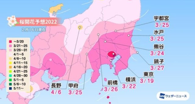 2022 華蔵寺公園 桜開花予想