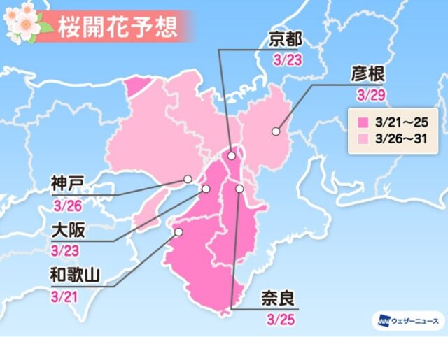 2021京都桜開花予想