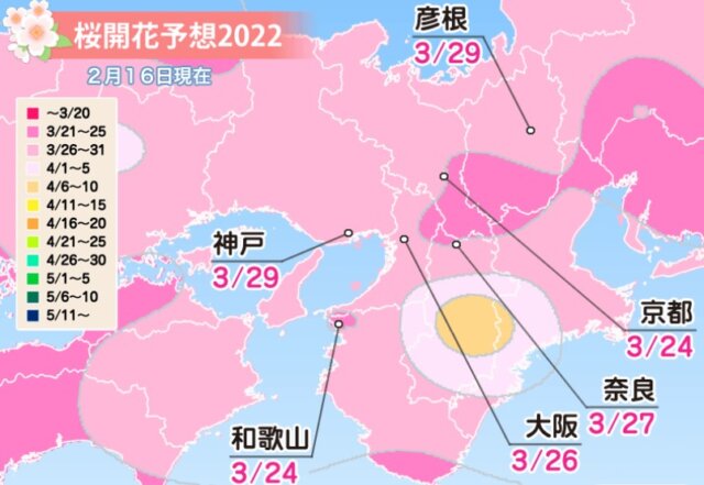 2022 京都 桜開花予想