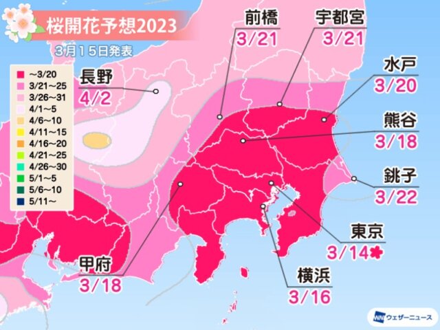 桜開花予想2023