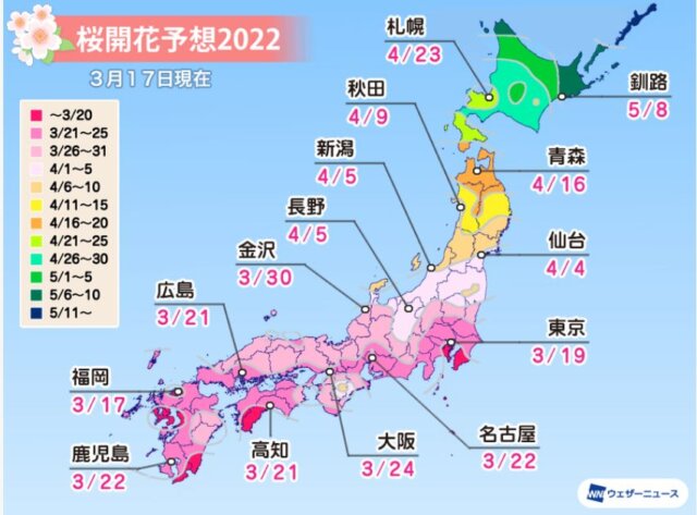 2022 兼六園 開花