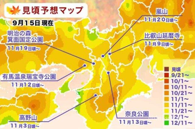 京都紅葉2022