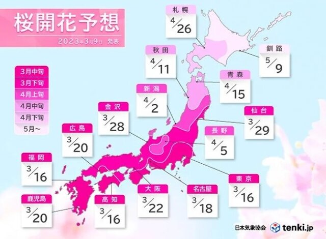 開花情報2023