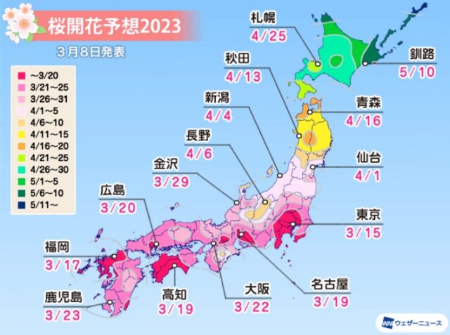 京都開花予想2023
